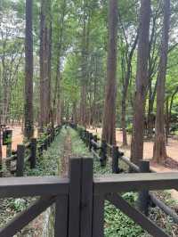 황톳길 공원