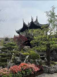 Yu Garden, A Classical Oasis in the Heart of Shanghai