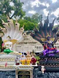 วัดป่าพุทธชินวงศาราม 