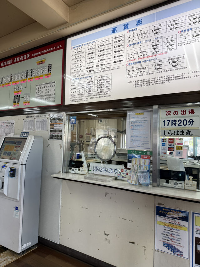 ⛴️房総入口！風と海を感じる「東京湾フェリー 金谷港ターミナル」