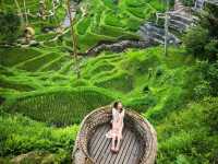 Our Perfect 5D4N Bali Getaway – Ubud, Nusa Penida & Seminyak Highlights🏝🛖✨️
