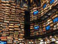 Kadokawa Culture Museum: A Must-Visit Near Tokyo 🇯🇵📚