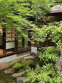 โอซาก้า🇯🇵