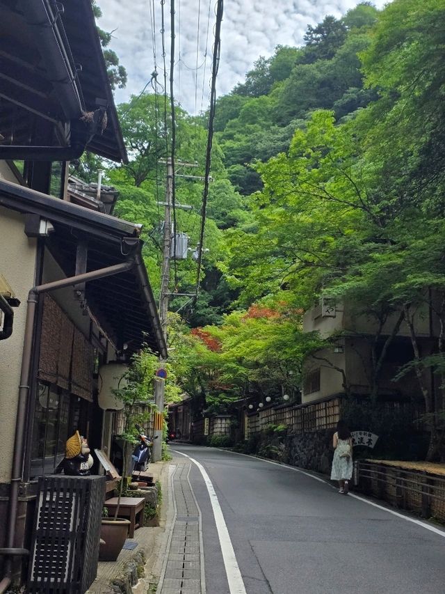 รีวิวปีนเขาคิฟุเนะ Kifune ในเกียวโต