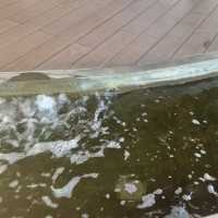 無料の足湯‼️ぽかぽか温まる
