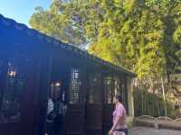 🌿 Canglang Pavilion 沧浪亭 — Suzhou’s Oldest Garden with Timeless Serenity 
