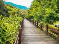 🌿【馬太鞍農園｜走進阿美族的生態智慧，在濕地裡體驗慢生活】