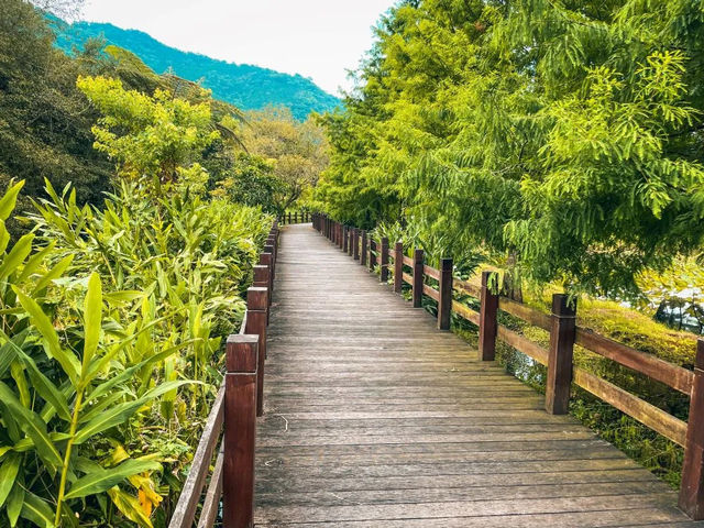 🌿【馬太鞍農園｜走進阿美族的生態智慧，在濕地裡體驗慢生活】