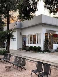 Lasi House