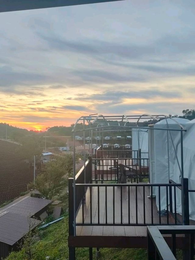 🌄 ม่อนสายลม ม่อนแจ่ม —เชียงใหม่