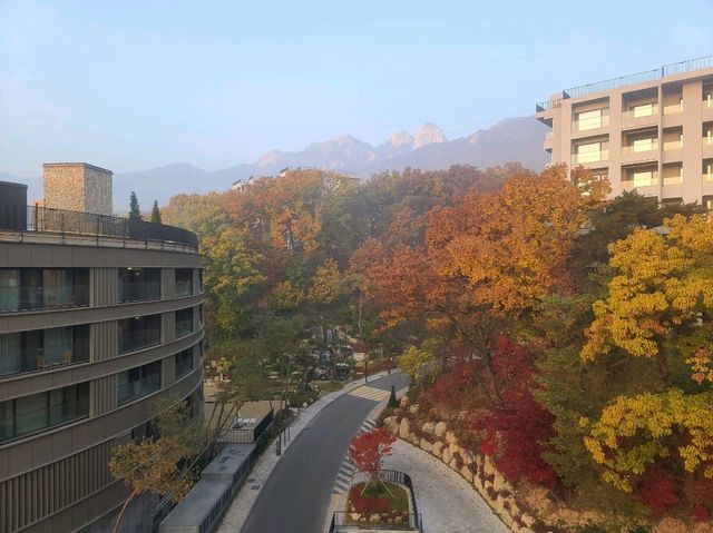 파라스파라 서울 프리미어 팀버 스위트 (히노끼탕, 인룸다이닝, 실내수영장, 야외수영장, 사우나, 조식)
