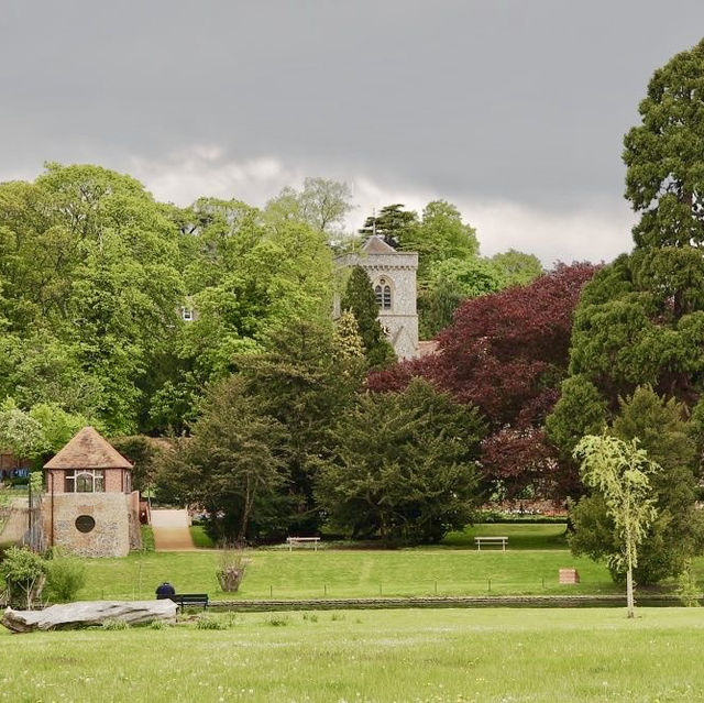 A Serene Afternoon at Caversham Court Gardens