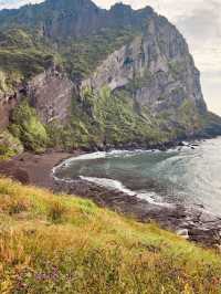  Jeju Island Summer Survival Guide
