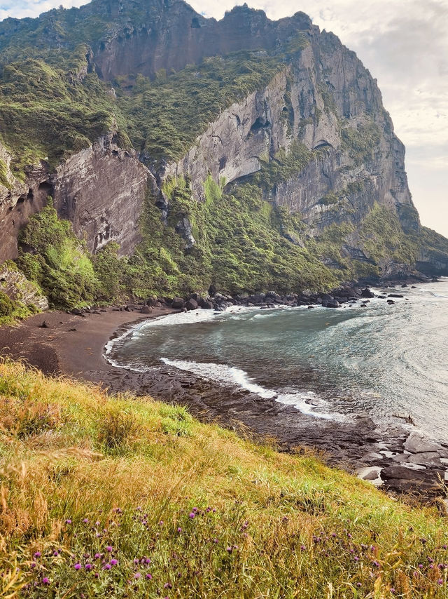  Jeju Island Summer Survival Guide