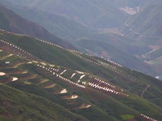 Vietnam's Unique Terraced Fields