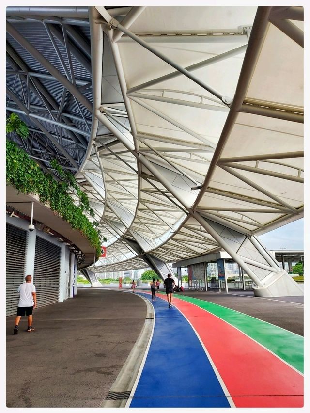 Run Run Run @ Singapore