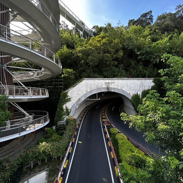 🌀 Xiamen’s Spiral Walkway: Where Futuristic Design Meets Mountain & Sea Views!