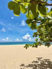 🌴 Sanya, Hainan – the Hawaii of China 🇨🇳