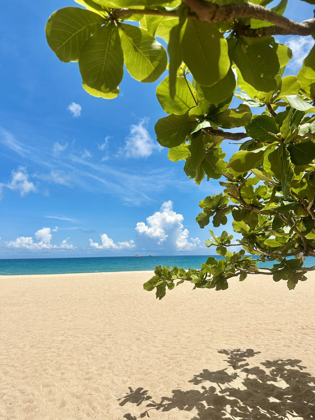 🌴 Sanya, Hainan – the Hawaii of China 🇨🇳