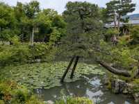 奈良 | 依水園寧樂美術館---三秀亭