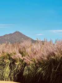 Eulsukdo Island Migratory Bird Park, Busan: A Haven for Wildlife and Nature Lovers