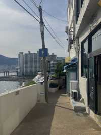 부산 여행 데이트 필수 코스, 여유로운 산책길