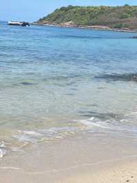 หาดเทียนเกาะล้านที่ไม่ควรพลาด น้องห่านน่ารัก