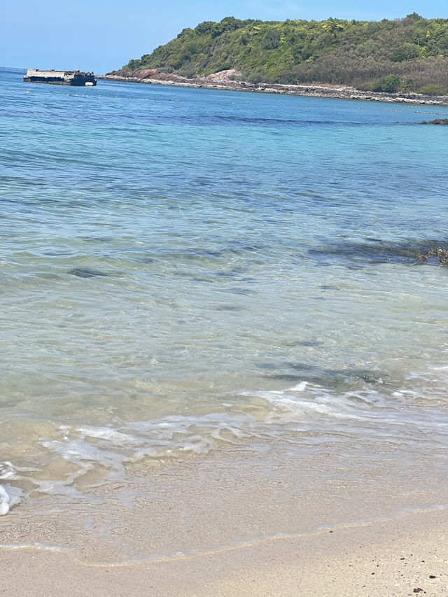 หาดเทียนเกาะล้านที่ไม่ควรพลาด น้องห่านน่ารัก