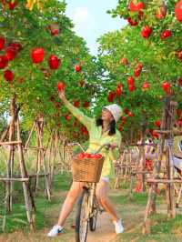 Move to Mountain Garden Cafe