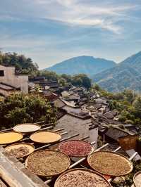 🌸 "From City Lights to Canola Nights: A Journey Through Nanchang & Wuyuan’s Dreamscape!"** 🌿
