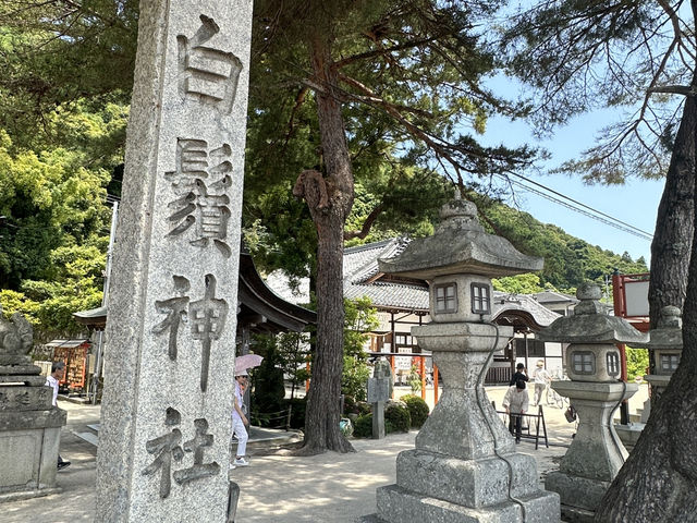 日本關西自駕遊 | 滋賀縣 | 白鬚神社