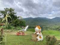 บรรยากาศฤดูฝนชิล ๆ ที่ ‘ห้วยตึงเฒ่า’ 