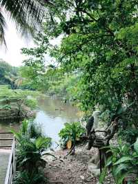 Farm in the City: A Nature Lover’s Delight