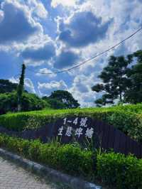 桃園市區也能遇見自然仙境 桃園 1-4 號生態埤塘｜步道、樹蔭、湖景一次滿足的城市秘境