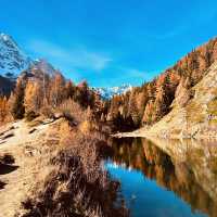 Val d'Hérens: Alpine Wildflower Trails & 4,000m Peaks Without the Crowds