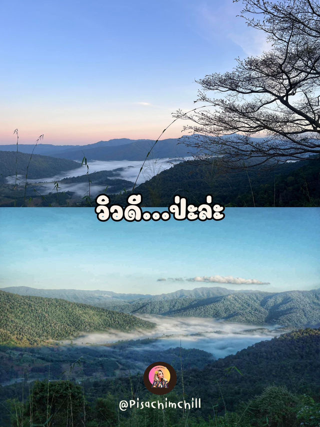 พาเที่ยวชมธรรมชาติ ที่ภูหัวฮ่อม จังหวัดเลย