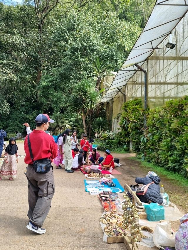เที่ยวเชียงใหม่ ดอยอ่างขาง