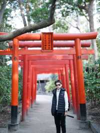ศาลเจ้าสุมิโยชิ (Sumiyoshi Shrine)