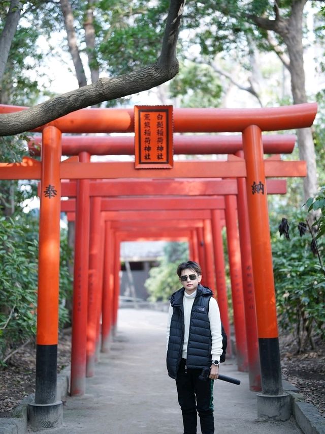 ศาลเจ้าสุมิโยชิ (Sumiyoshi Shrine)