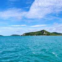 ดำน้ำลึกแสมสาร กับเรือ Great White Shark 