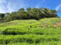 วาร์ปไปสวิตเซอร์แลนด์เมืองไทย #เขาช่องลม🌿
