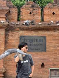 ประตูท่าแพ (Tha Phae Gate) 