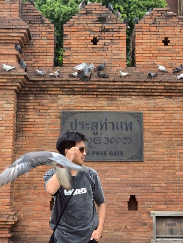 ประตูท่าแพ (Tha Phae Gate) 
