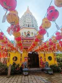 Lively Festivals & Night Life