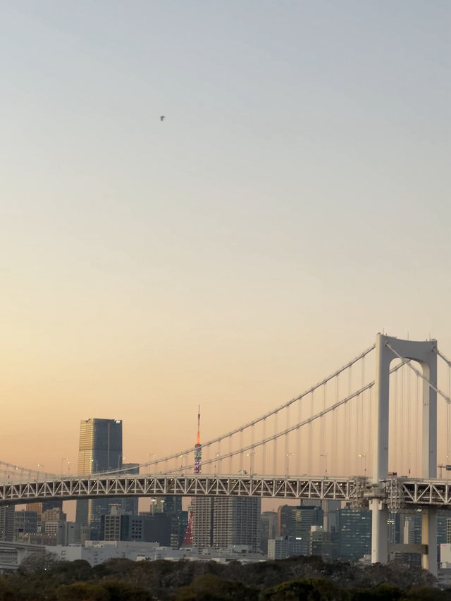 도쿄에서 바다를 느끼고 싶다면? 오다이바가 답🏖️