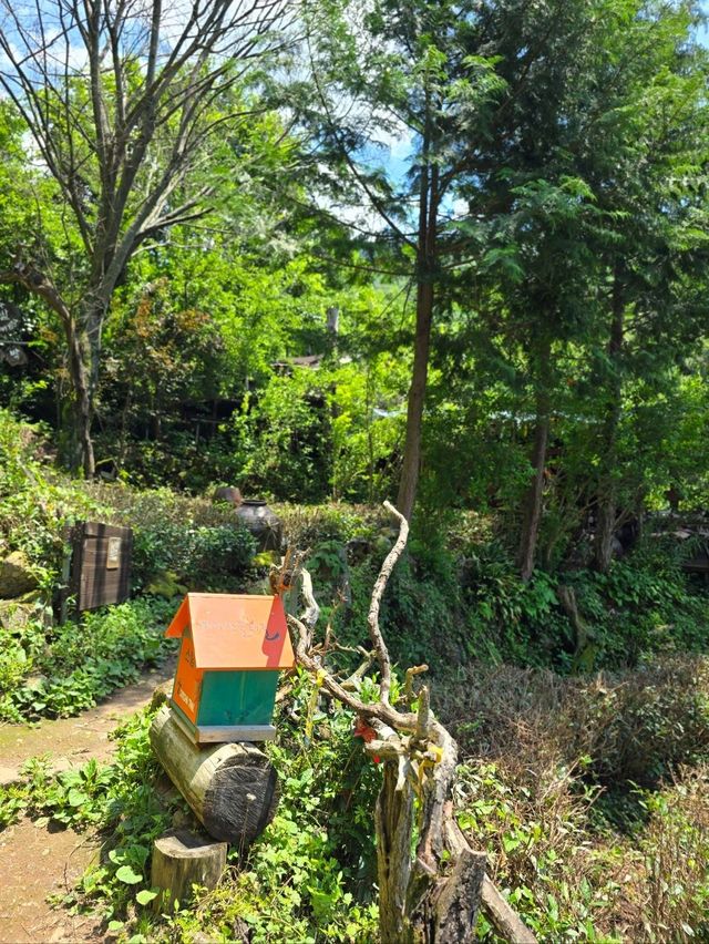 깊은 숲속 비밀스런 하동 산장카페💚