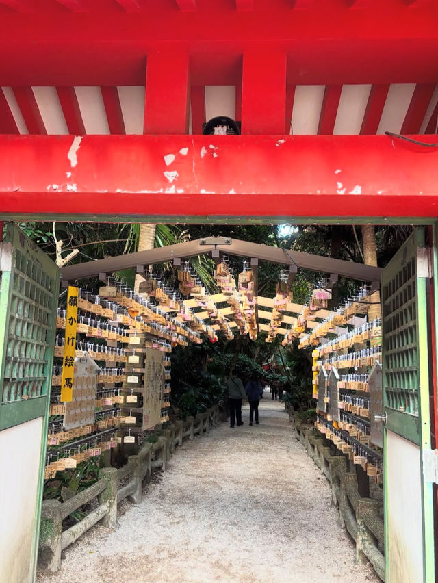 【宮崎】海に浮かぶ神秘の島⛩️青島神社で縁結び旅🌊