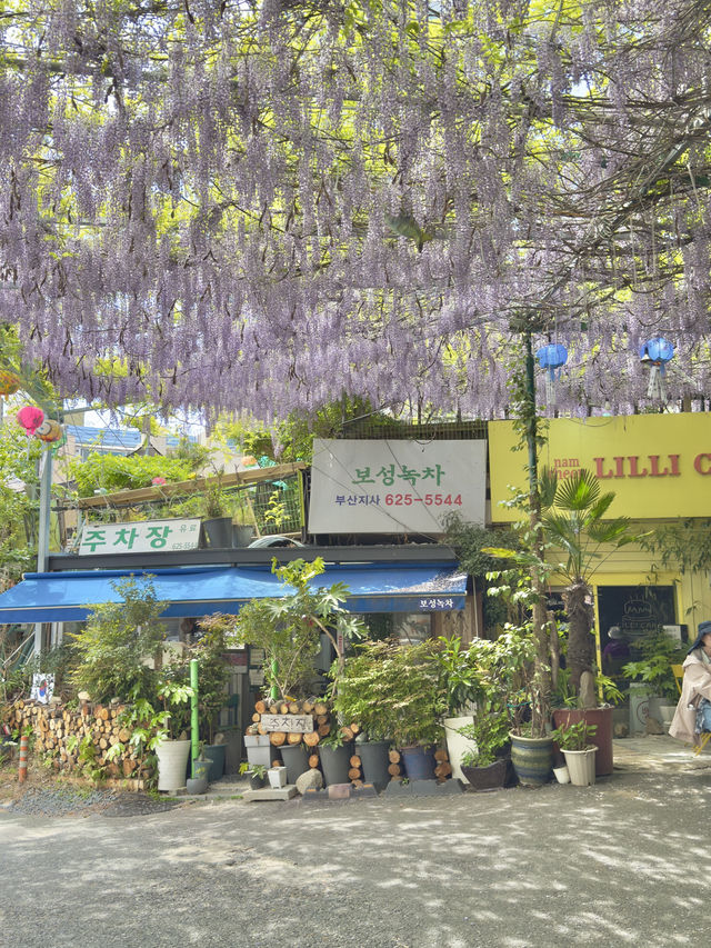 부산 속 치앙마이🌿