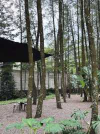 Teduh Coffee