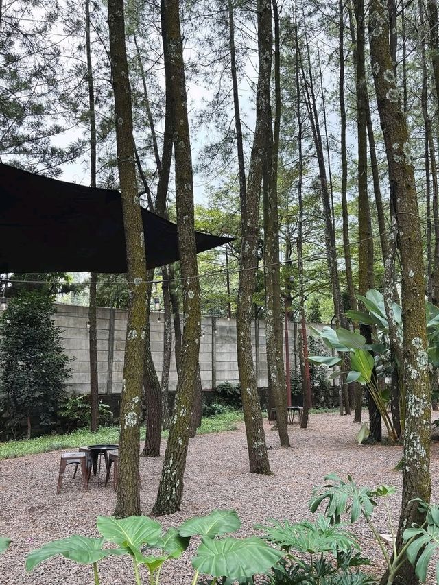 Teduh Coffee